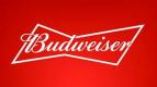 Anheuser Busch - Budweiser 12pk Cans 0