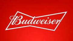 Budweiser 18pk Cans