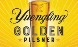 Yuengling Golden Pilsner 12oz